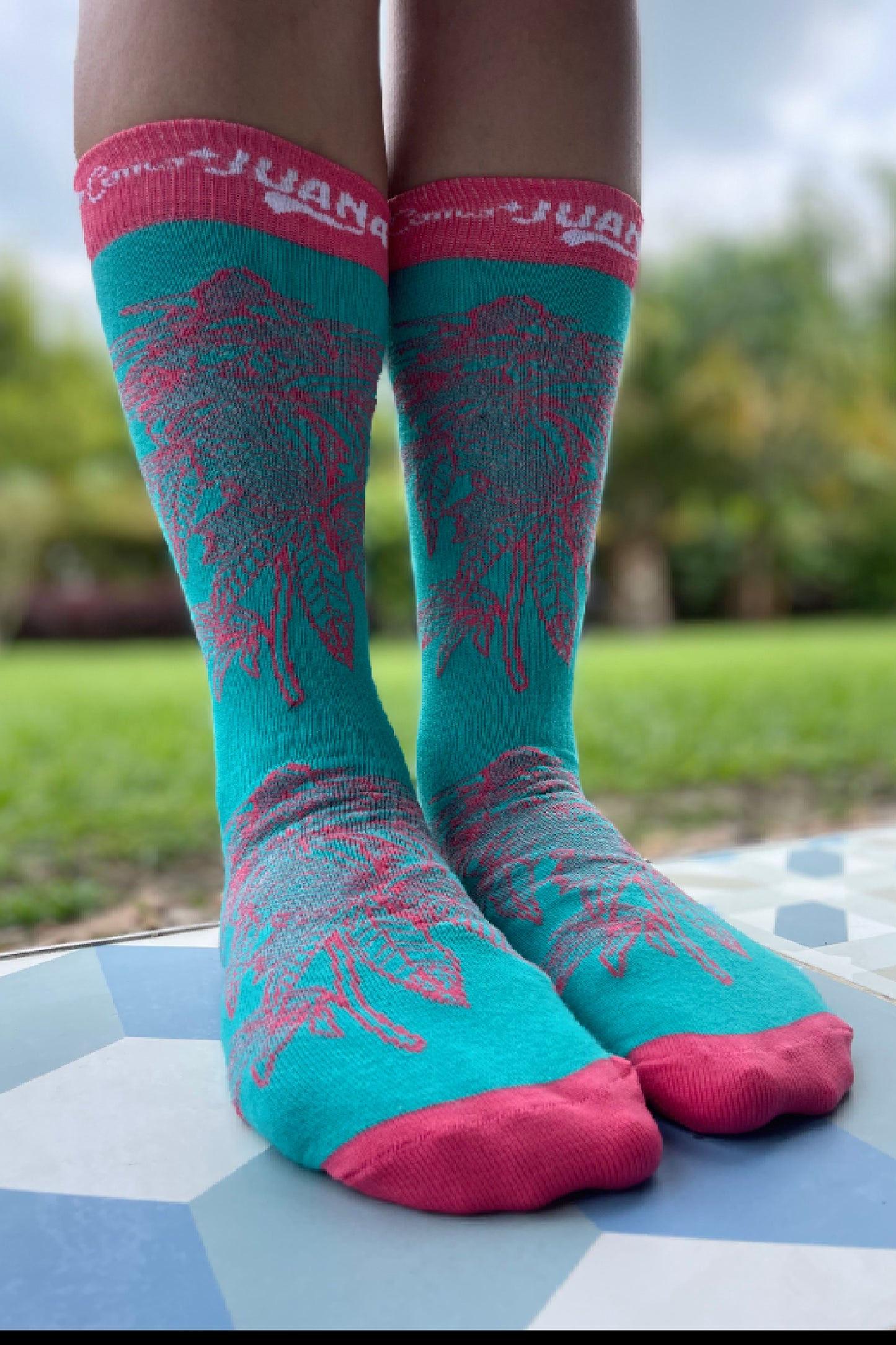 Plant Pink/Turquoise Socks (U)