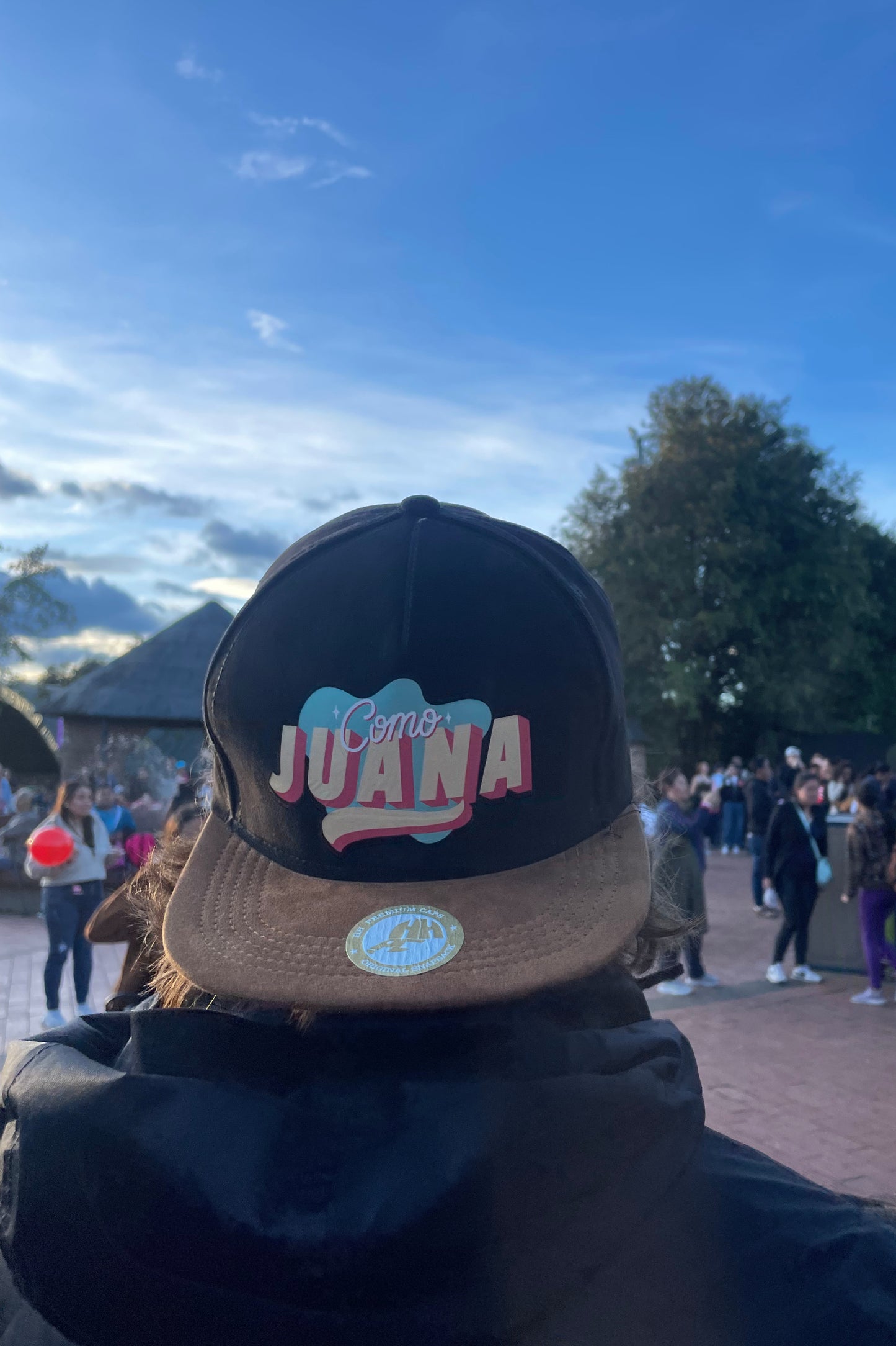 Como Juana Black/Brown Snapback Cap (U)